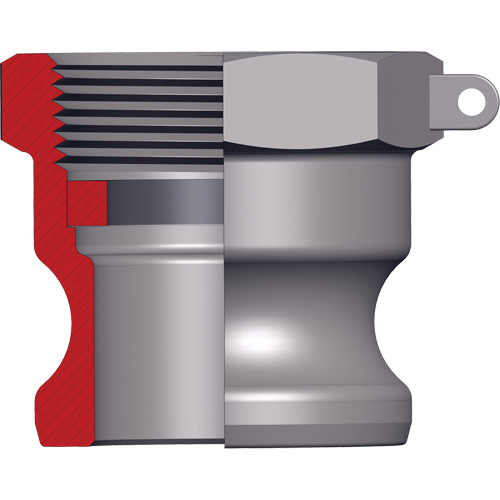 Adaptateur &agrave; came et cannelure Dixon Pathway Supply LP