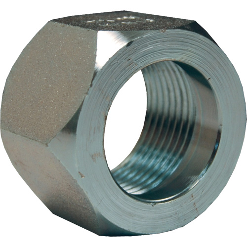 Dixon&reg; Mining Hex Nut, 1", Zinc Plated, NPT Thread Pathway Supply LP