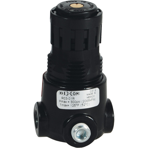 Wilkerson Miniature Regulator R03, 1/4" NPT, 300 psi Max. PSI, Standard Pathway Supply LP