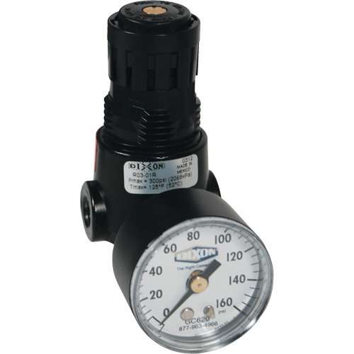 R&eacute;gulateur miniature R04 Wilkerson, 1/4" NPT, PSI max. de 300 psi, Standard Pathway Supply LP