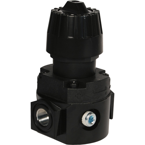 R&eacute;gulateur compact R16 Wilkerson, 1/4" NPT, PSI max. de 300 psi, Standard Pathway Supply LP