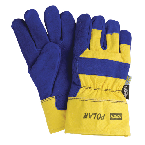 Insulated Gloves, One Size, Split Leather Palm, Thinsulate Inner Lining Pathway Supply LP