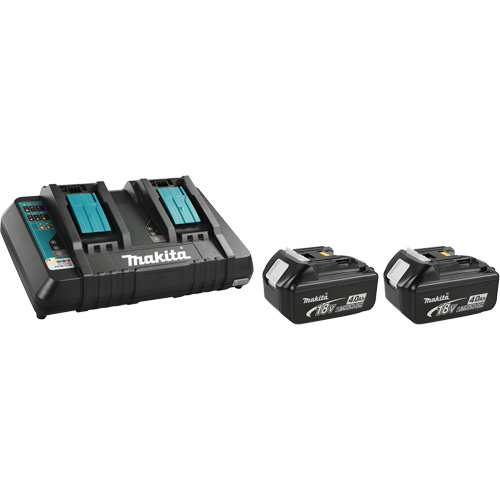 Ensemble de chargeur et batterie Pathway Supply LP