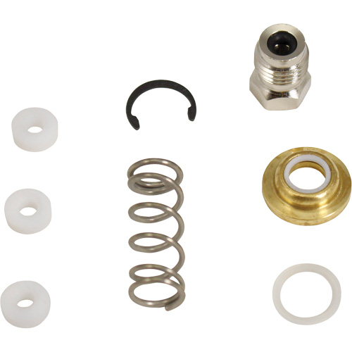Wand & Shut-Off Service Kit Pathway Supply LP