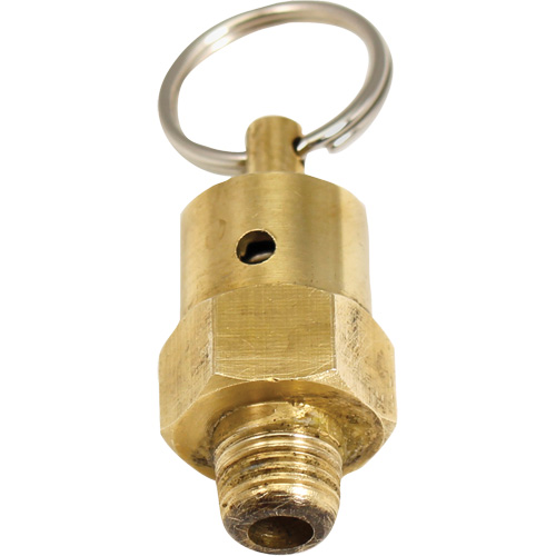 Viton&reg; Pressure Relief Valve Pathway Supply LP