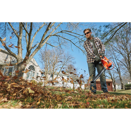 Souffleur/aspirateur/broyeur de feuilles 3-en-1 VacPack, Vitesse d'air 250 mi/h, &eacute;lectrique Pathway Supply LP