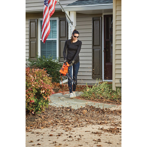 Souffleur/aspirateur/broyeur de feuilles 3-en-1 VacPack, Vitesse d'air 250 mi/h, &eacute;lectrique Pathway Supply LP