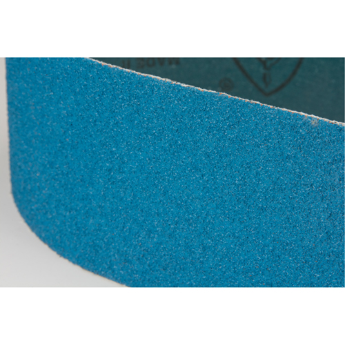 Courroie abrasive bleu Pathway Supply LP