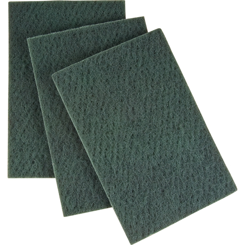 Scouring Hand Pad, 6" x 9", Medium Grit Pathway Supply LP