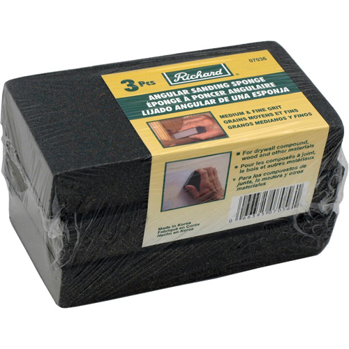 Angled Sanding Sponge Pathway Supply LP