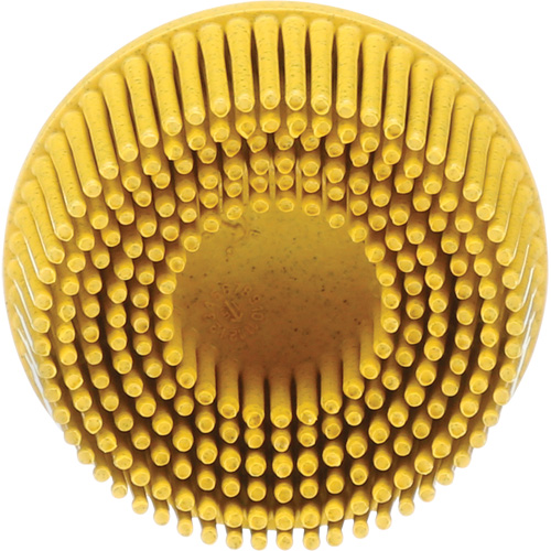 Meule en soie Roloc Scotch-Brite, C&eacute;ramique, Grain Moyen, 2" dia. Pathway Supply LP