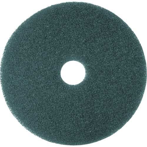 Cleaner Pad, 13", Scrubbing, Blue Pathway Supply LP