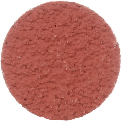 Cubitron II Roloc Durable Edge Disc, 2" Dia., 36+ Grit, Ceramic Pathway Supply LP