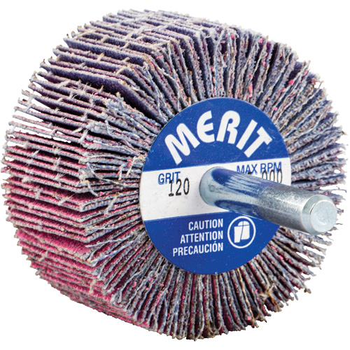 Shank Mounted Mini Flap Wheel, Ceramic Alumina, 120 Grit, 2" x 1" x 1/4" Pathway Supply LP