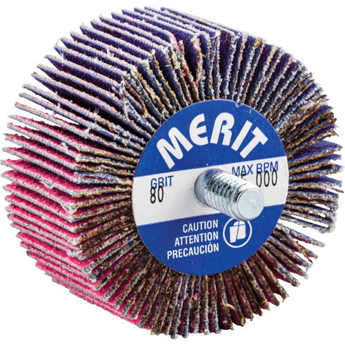 Threaded Mini Flap Wheel, Ceramic Alumina, 80 Grit, 2" x 1" x 1/4"-20 Pathway Supply LP