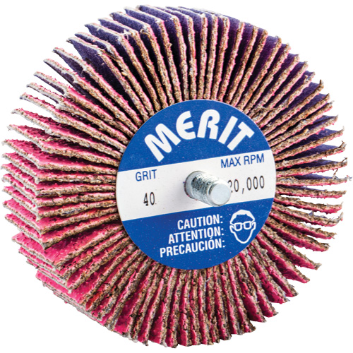 Threaded Mini Flap Wheel, Ceramic Alumina, 40 Grit, 3" x 1" x 1/4"-20 Pathway Supply LP