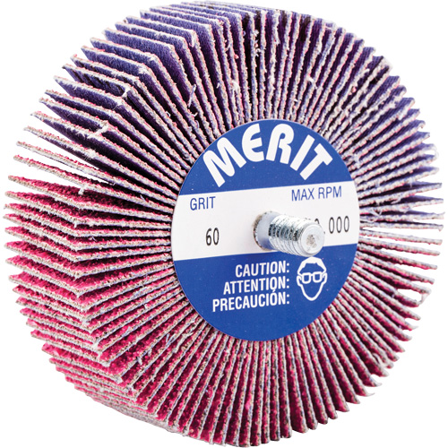 Threaded Mini Flap Wheel, Ceramic Alumina, 60 Grit, 3" x 1" x 1/4"-20 Pathway Supply LP