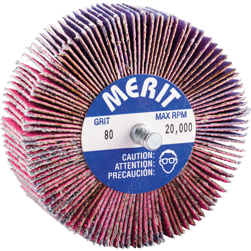 Threaded Mini Flap Wheel, Ceramic Alumina, 80 Grit, 3" x 1" x 1/4"-20 Pathway Supply LP