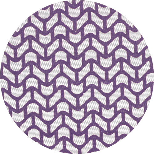 Xtract Cubitron II Net Disc, 5" Dia., 220 Grit, Ceramic Pathway Supply LP