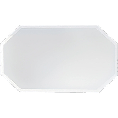 Replacement Plastic Shield for Suction & Pressure Cabinets Pathway Supply LP