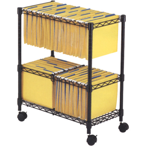 File Carts- 2-tier Rolling File Cart Pathway Supply LP