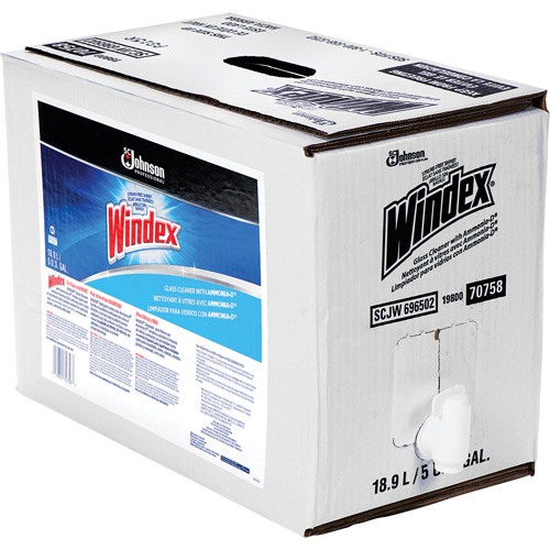 Windex&reg; Glass Cleaner with Ammonia-D&reg;, 5 gal., Bag Pathway Supply LP