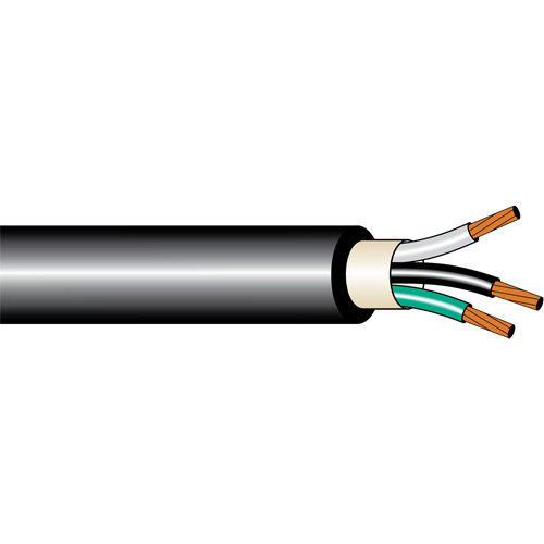 CABLE CUIVRE RENFORCE AC90 12/2 AWG 600V Pathway Supply LP