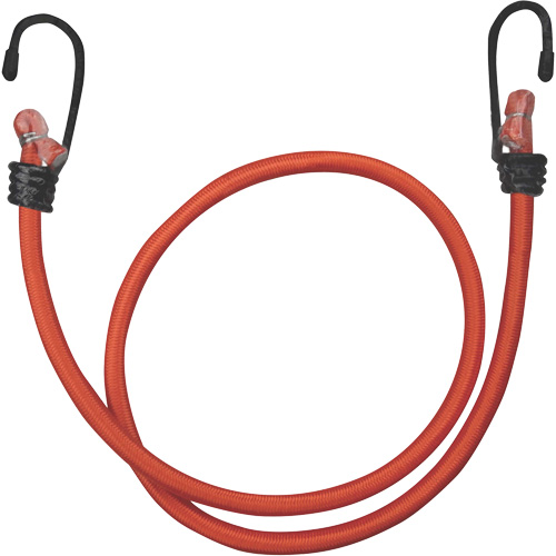 Bungee Cord, 36" Pathway Supply LP