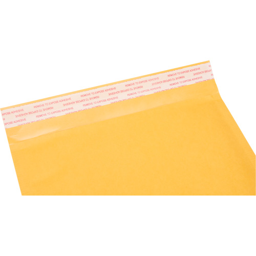Enveloppes postales coussin&eacute;es, Kraft, 8-1/2" la x 14-1/4" lo Pathway Supply LP