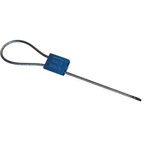 Flexsecure FS35 Security Seal, 12", Metal, Cable Seal Pathway Supply LP