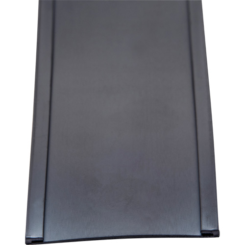 Card Holder, Magnetic, 600" L x 2" W Pathway Supply LP