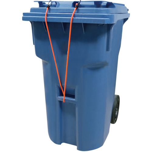 Bungee Cord Tie Downs, 18" Pathway Supply LP