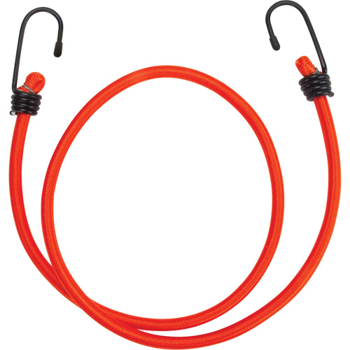 Bungee Cord Tie Downs, 36" Pathway Supply LP