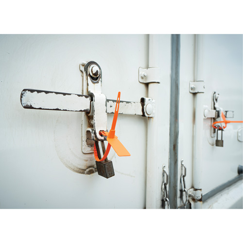 Security Seal, 7-3/4", Plastic, Truck Seal Pathway Supply LP