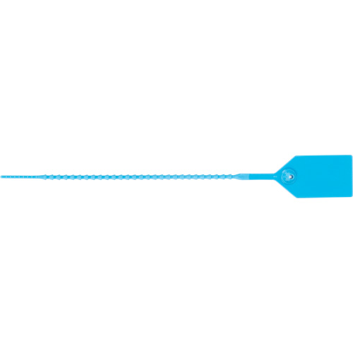 Scell&eacute; de s&eacute;curit&eacute; standard, 9", Plastique, Scell&eacute; en plastique Pathway Supply LP