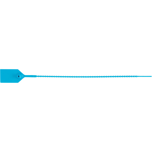 Scell&eacute; de s&eacute;curit&eacute; standard, 12", Plastique, Scell&eacute; en plastique Pathway Supply LP