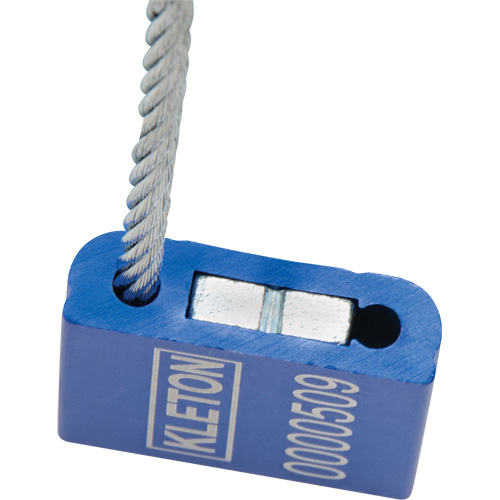 Scell&eacute;s de haute s&eacute;curit&eacute;, 12", M&eacute;tal, Scell&eacute; &agrave; c&acirc;ble Pathway Supply LP