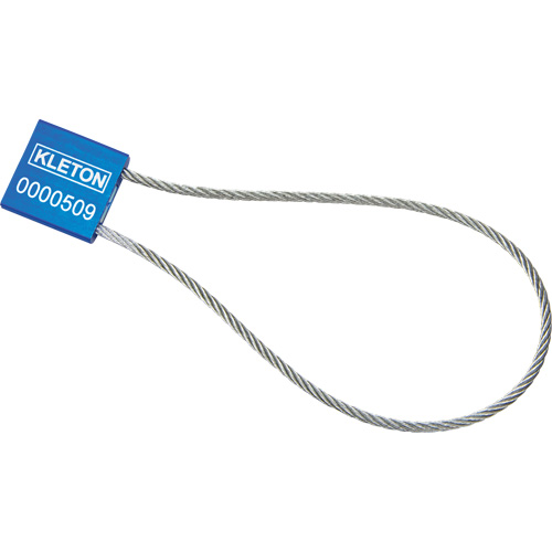 Scell&eacute;s de haute s&eacute;curit&eacute;, 12", M&eacute;tal, Scell&eacute; &agrave; c&acirc;ble Pathway Supply LP