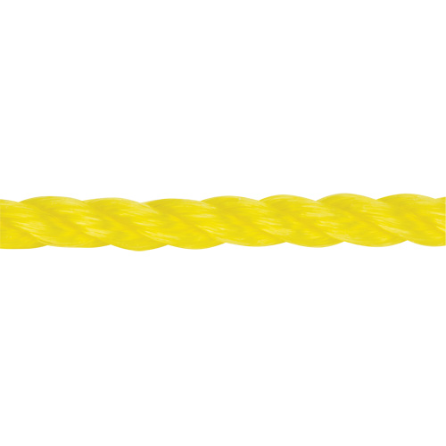 Corde jaune tress&eacute;e 3/8", Polypropyl&egrave;ne, 630' Pathway Supply LP