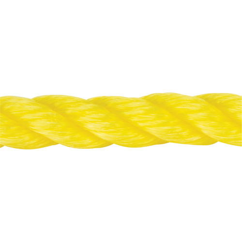 Corde jaune tress&eacute;e, Polypropyl&egrave;ne, 144' Pathway Supply LP