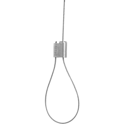 Cable Lock Seals Pathway Supply LP