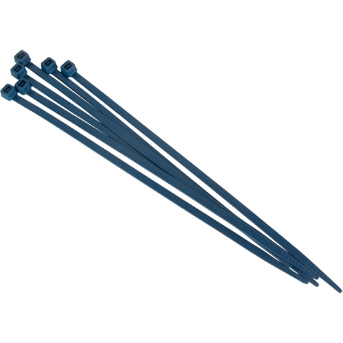 Attache-c&acirc;bles d&eacute;tectables par d&eacute;tecteur de m&eacute;taux, 15" lo, R&eacute;sistance &agrave; la traction 120 lb Pathway Supply LP