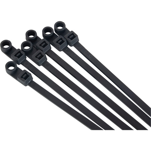 Attache-c&acirc;ble &agrave; visser, Longueur 8", R&eacute;sistance &agrave; la traction 50 lb, Noir Pathway Supply LP