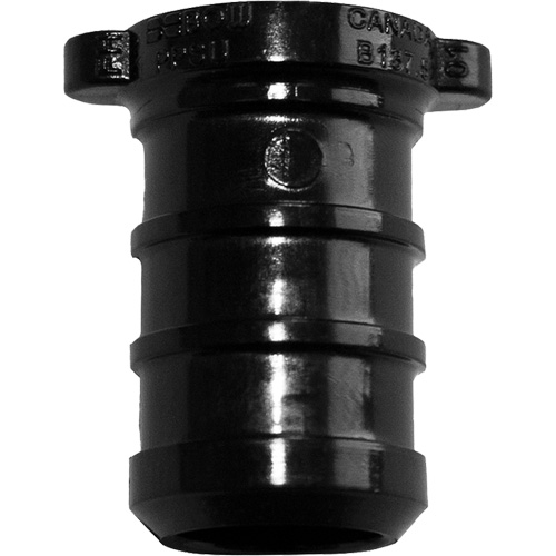 Pipe Plug, Pipe, 3/4" Dia., Polyalloy Pathway Supply LP