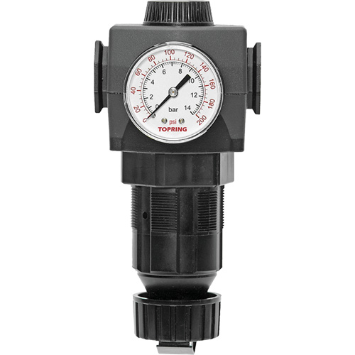 Regulator with Gauge Modulair 400, 3/4" NPTF, 125 PSI Max. PSI, In Line/Modular Pathway Supply LP