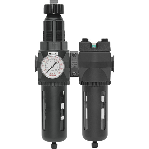 Filtre/d&eacute;tendeur & filtre coalescent Modulair 400 avec bol standard & drain manuel, 3/4" NPTF, 150 psi, Capacit&eacute; de 9,13 oz liq. Pathway Supply LP