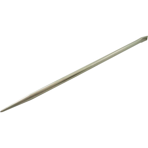Barre-levier nickel&eacute;e, 30" Pathway Supply LP