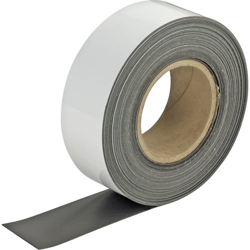 Write-On Magnetic Tags, Magnetic, 600" L x 2" W Pathway Supply LP