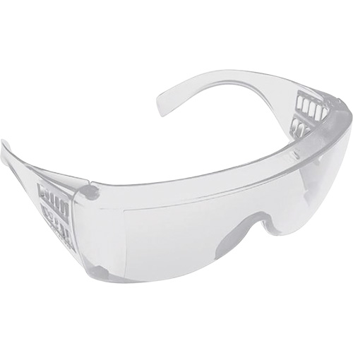 Lunettes pour visiteurs, Lentille Transparent, Anti-&eacute;gratignures/Polaris&eacute;, ANSI Z87+/R&eacute;pond ou surpasse la norme CSA Z94.3 Pathway Supply LP