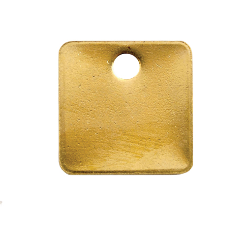 Blank Tags, Brass, 1.25" dia Pathway Supply LP